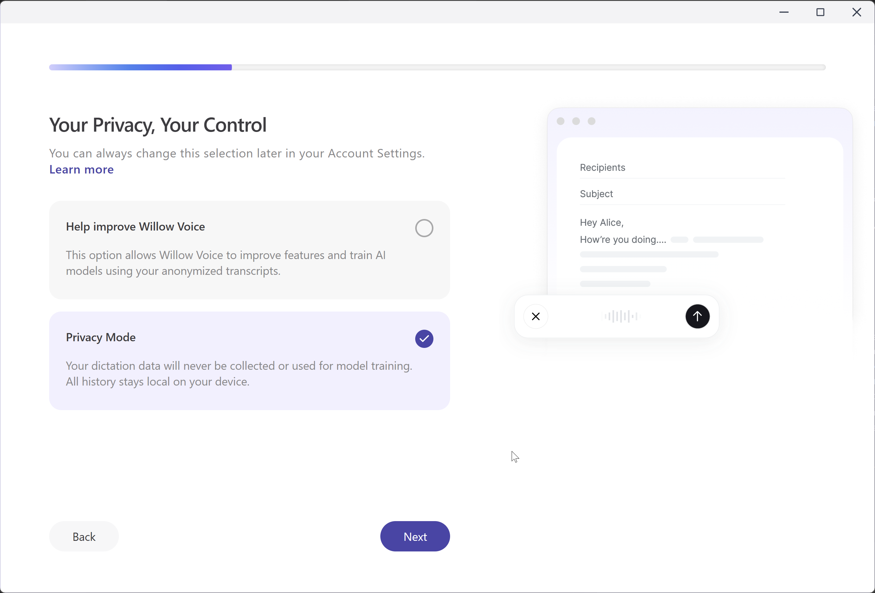Willow Voice — Onboarding — privacy mode: local history vs. model training opt-out